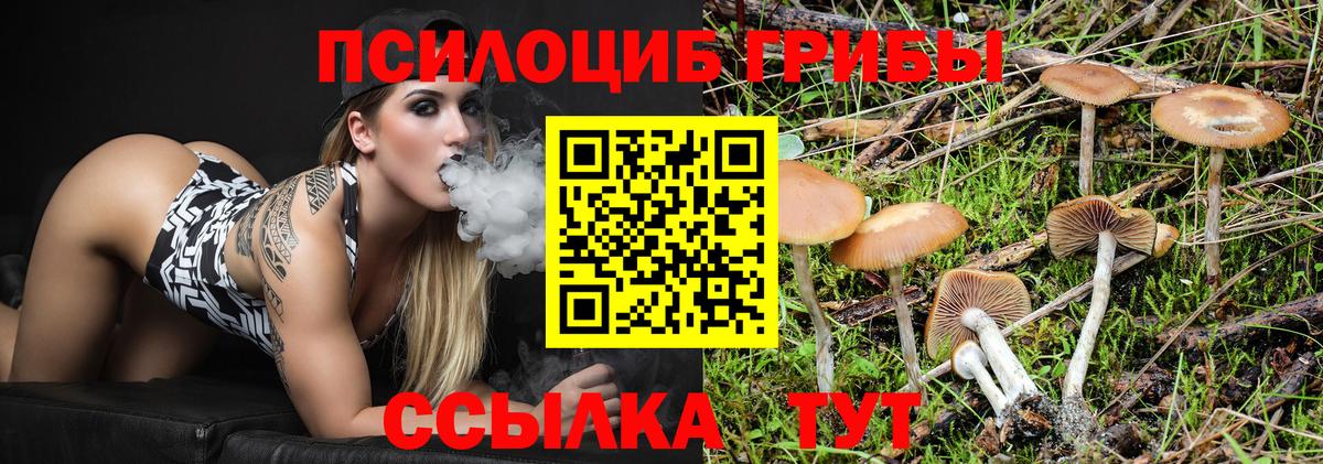 Торжок  Галлюциногенные грибы Magic Shrooms  Вход с VPN 